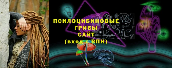 мескалин Елабуга