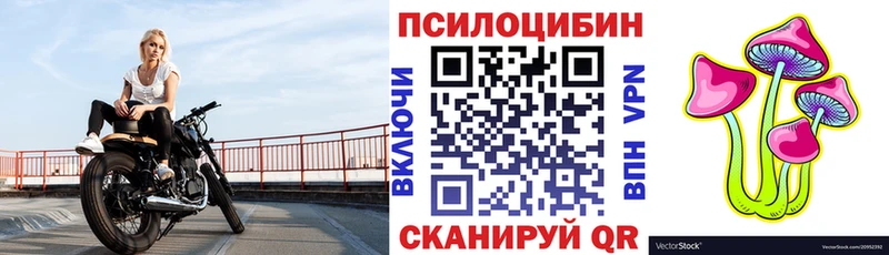 Купить где  Джанкой  Псилоцибиновые грибы мухоморы 